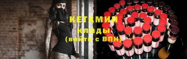 шишки Абаза