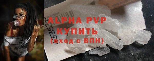 шишки Абаза