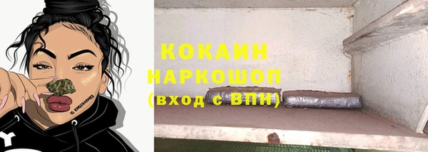 шишки Абаза