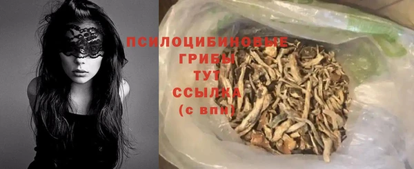 шишки Абаза