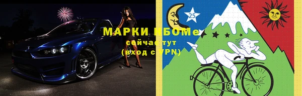 шишки Абаза
