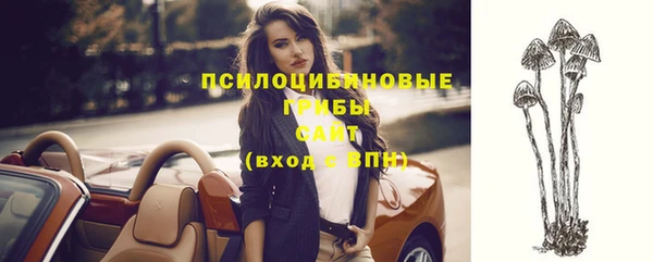 гидра Абдулино