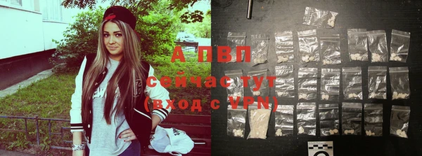 шишки Абаза