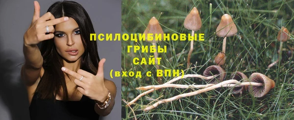 не бодяженный Абинск