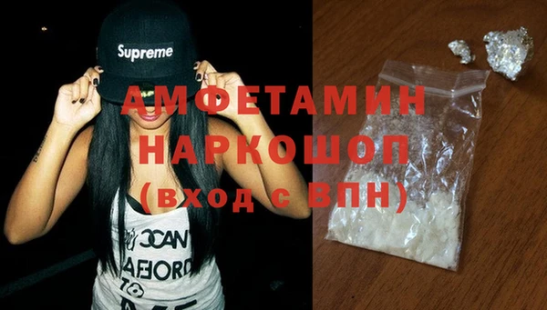 шишки Абаза