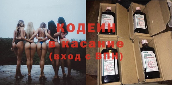 шишки Абаза