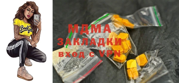 шишки Абаза