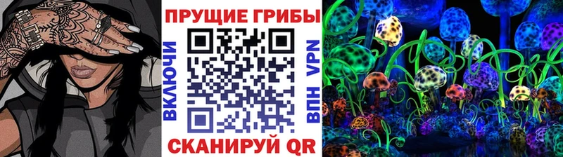купить закладку  Чита  Псилоцибиновые грибы Magic Shrooms 